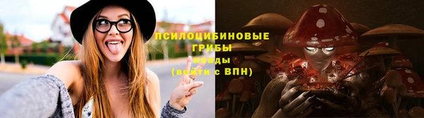 героин Пересвет
