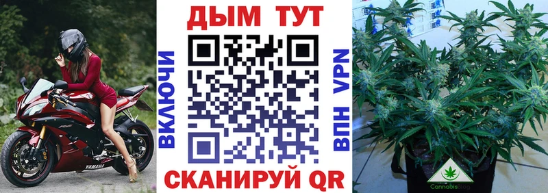 МАРИХУАНА THC 21%  blacksprut рабочий сайт  Баймак  как найти закладки 